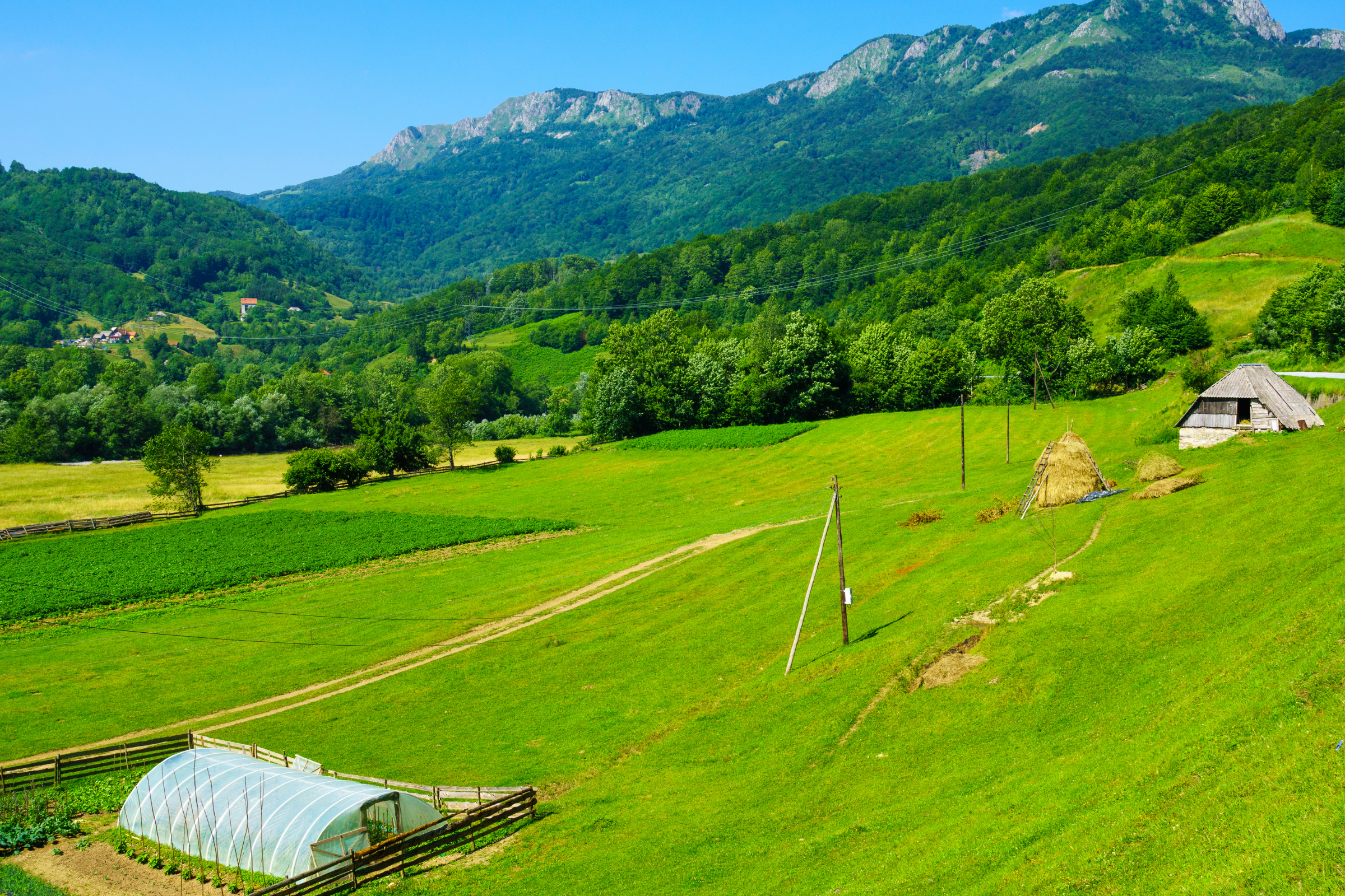 Kolašin[1].webp